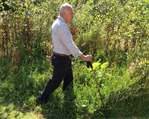 nordic_walking