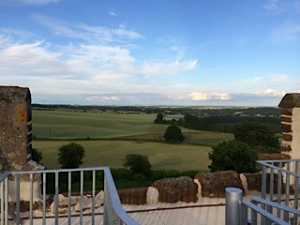 tower view 1