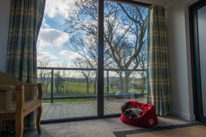 ECO lodges - Rhian White-59